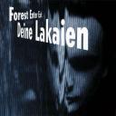 Deine Lakaien - Forest Enter Exit
